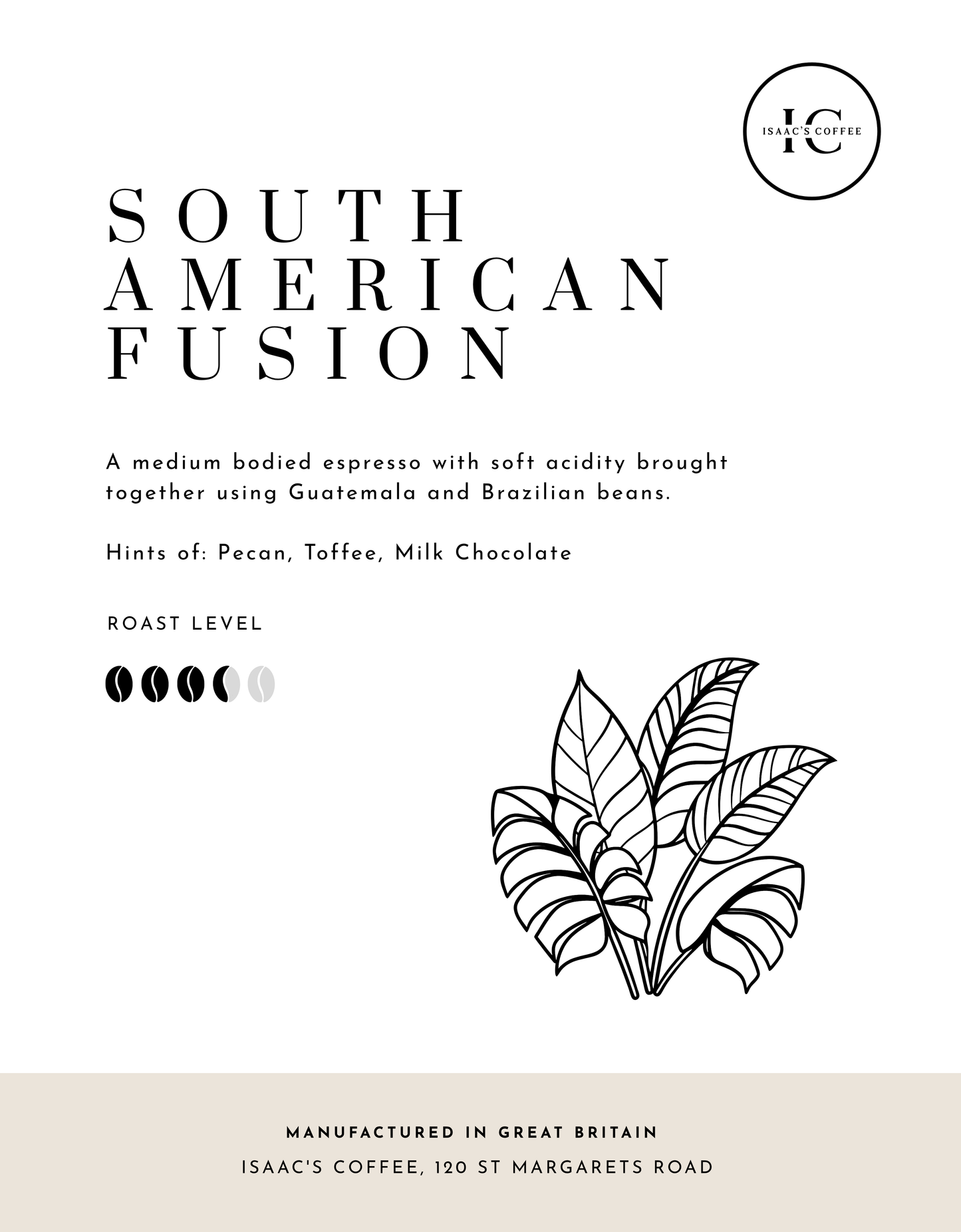 South American Fusion